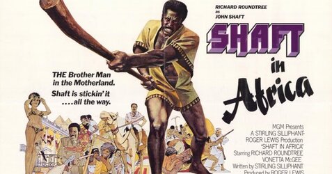 shaft in.jpg