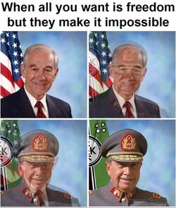 MsV2JLQa.jpeg