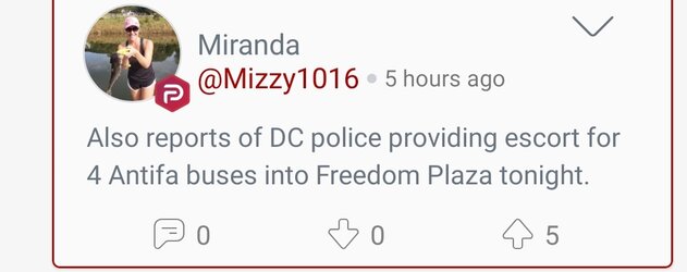 Screenshot_20210104-235141_Parler.jpg