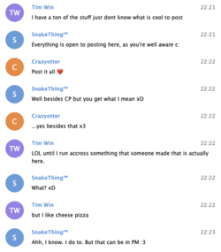 tim cheese pizza.png