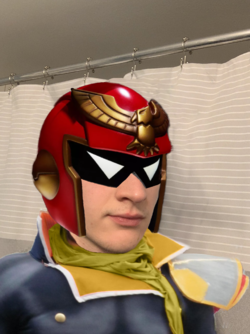 Falcon Stan In real loife.png