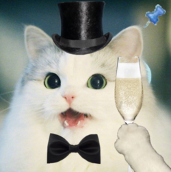 nigger cat celebrate.png