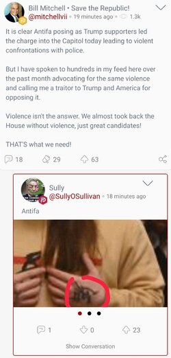 Screenshot_20210106-171837_Parler.jpg