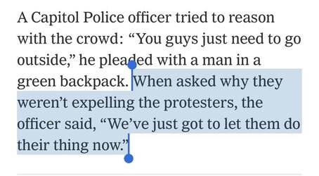 mmmarch protesters.jpg