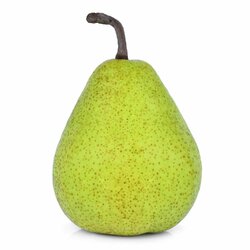 pear.jpg