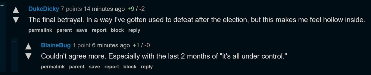 tdwin trump final betrayal.jpg