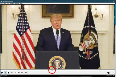 trump deepfake 01.gif