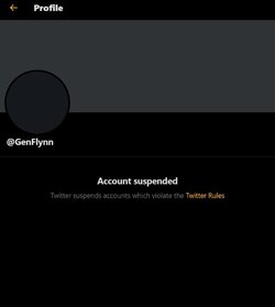 flynn banned.jpg