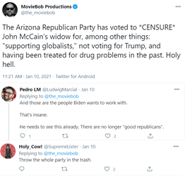 McCain-Widow.png