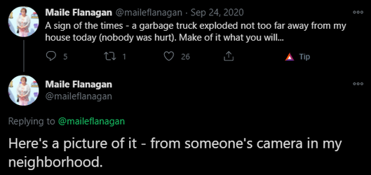 Maile Flanagan - Garbage Truck Post.png