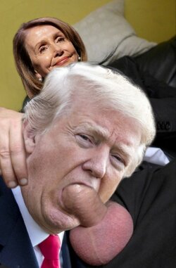 2995322 - Donald_Trump Nancy_Pelosi fakes.jpg