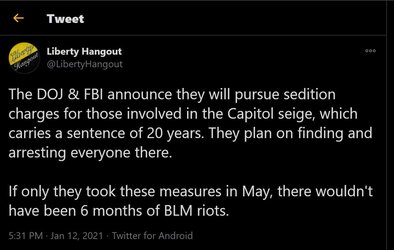 doj fbi mmmarch sedition.jpg