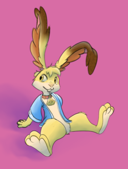 pookaian2.png