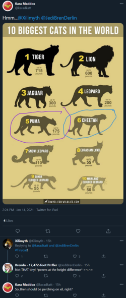 1610718643947.png