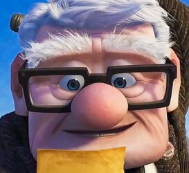 up movie.jpg