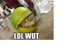 fruit2.jpg