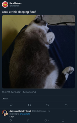 lou1.png