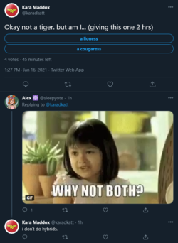 lou3.png