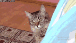 UoTiVZ.gif