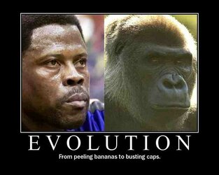 Anti-Patrick_Ewing_Evolution_Image.jpg