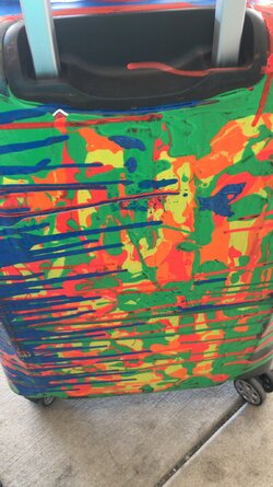 jan_18_luggage.jpg
