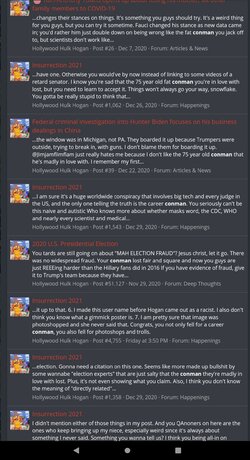 Screenshot_20210119-132211_Brave(1).jpg