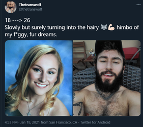 Untitled.png