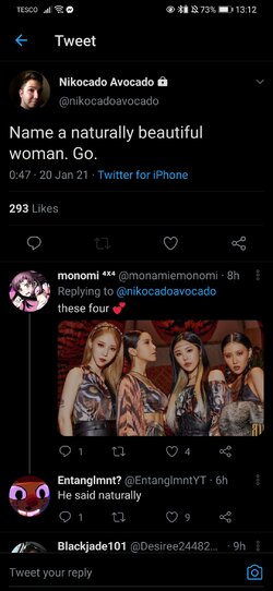 Screenshot_20210120_131233_com.twitter.android.jpg