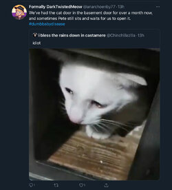 C83EC041-3F76-4709-BDD1-6E9940C0AF8B.jpeg