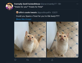 C387B108-1599-431F-8F2F-21B0A98E28CC.jpeg