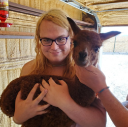 kevinalpaca.png