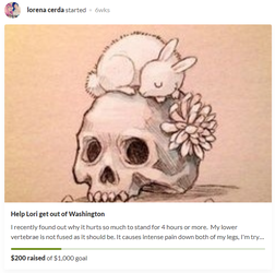 rhelpLorioutofWashington-1530078711257.png