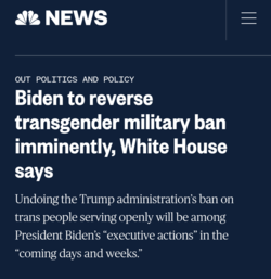 trans.png