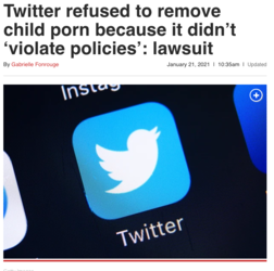 NYPost Article Twitter.png
