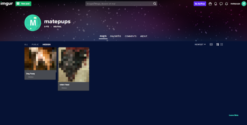 Tim imgur albums censored.png
