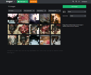 Tim imgur overview censored.png