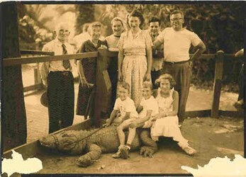 Alligator Farm 1950sm.jpg
