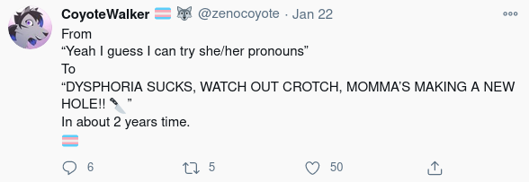 trannyinsanity.png