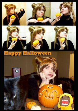 pet-cat-isis halloweenmoonie.jpg