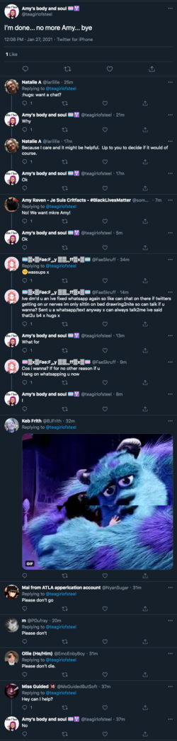 screencapture-twitter-teagirlofsteel-status-1354491583115243524-2021-01-27-12_46_56.png
