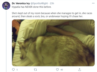 65.png