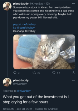 plant daddy on Twitter What you get out of the investment is I stop crying for a few hours  Tw...png