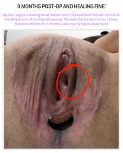 4C0A52F0-2FE2-4171-8DEE-FBE44FE1221E.png