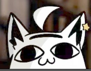This fucking cat.jpg