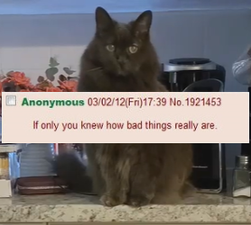 BBJ.PNG
