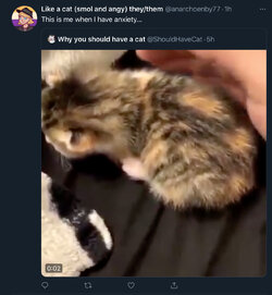 4B28B9F8-77BD-42BD-9BCE-F89E83CC0C45.jpeg