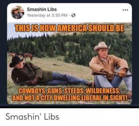 smashin-libs-68377632.png