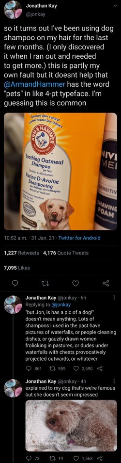 Screenshot_20210131-172819_Twitter.jpg