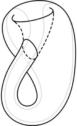 1200px-Surface_of_Klein_bottle_with_traced_line.svg.png