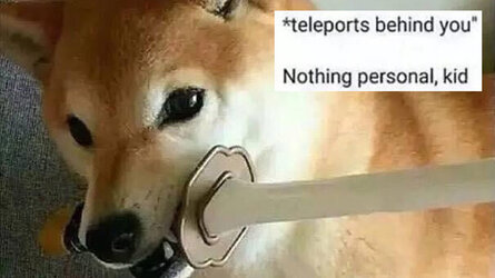Edge dog.jpg